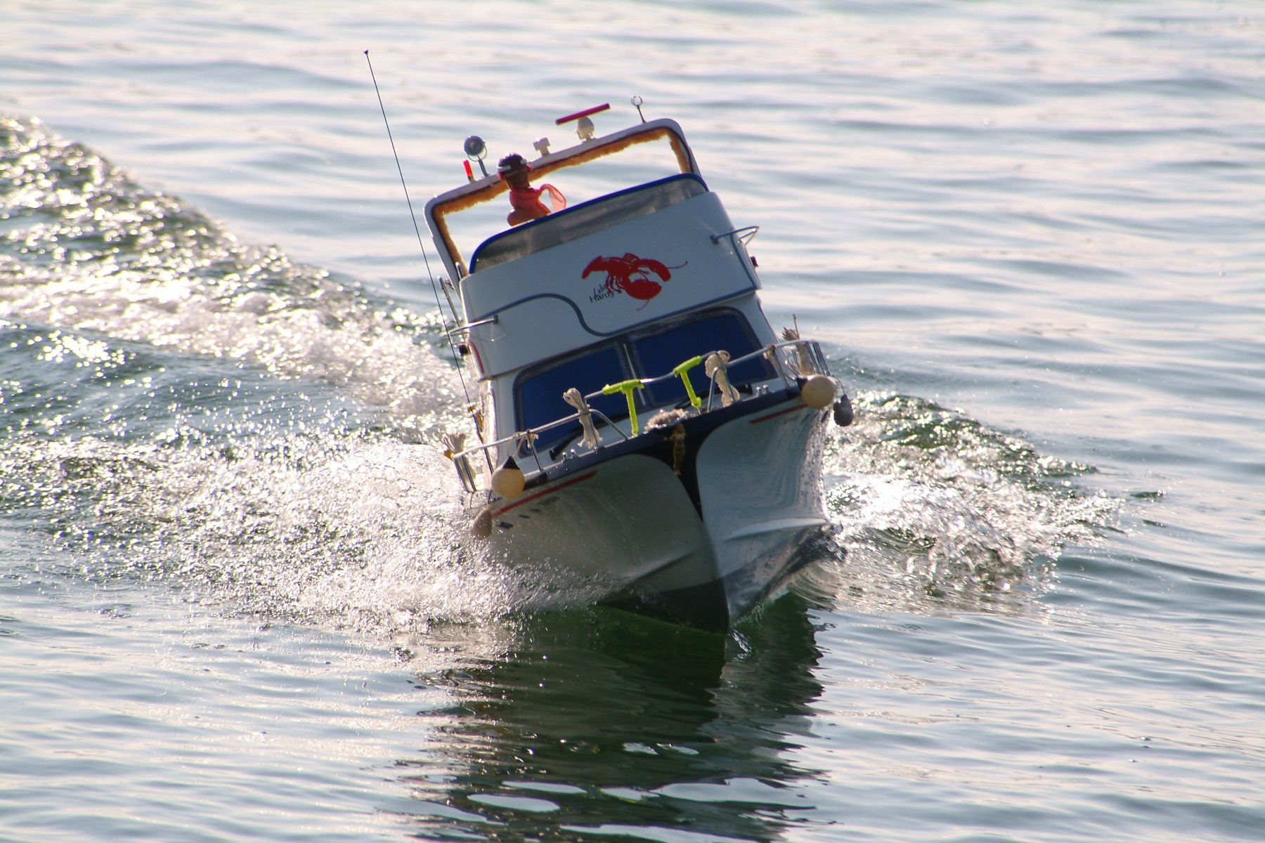 Modellismo RC: Modellboot  Lobster – Usato da Uttwil venduto da bfplastics 1