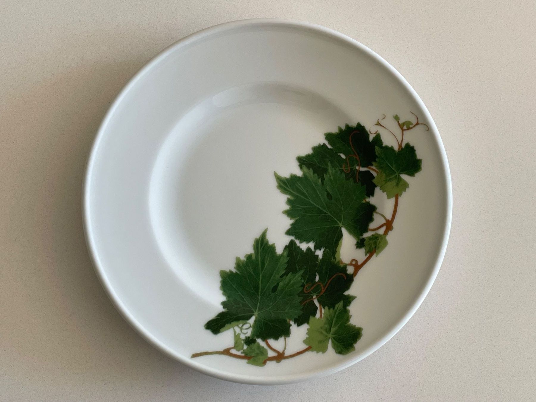 Piatti: 6 Teller Dibbern Herbaticum 19 cm – Usato da Zürich venduto da plumita 3