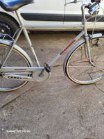 Herrenvelo 1Gang, GIRARDINGO