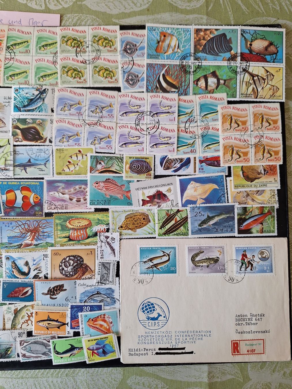 Tutti i francobolli: Grosse Fische und Meer-Sammlung – Usato da Genolier venduto da Antoine30 5