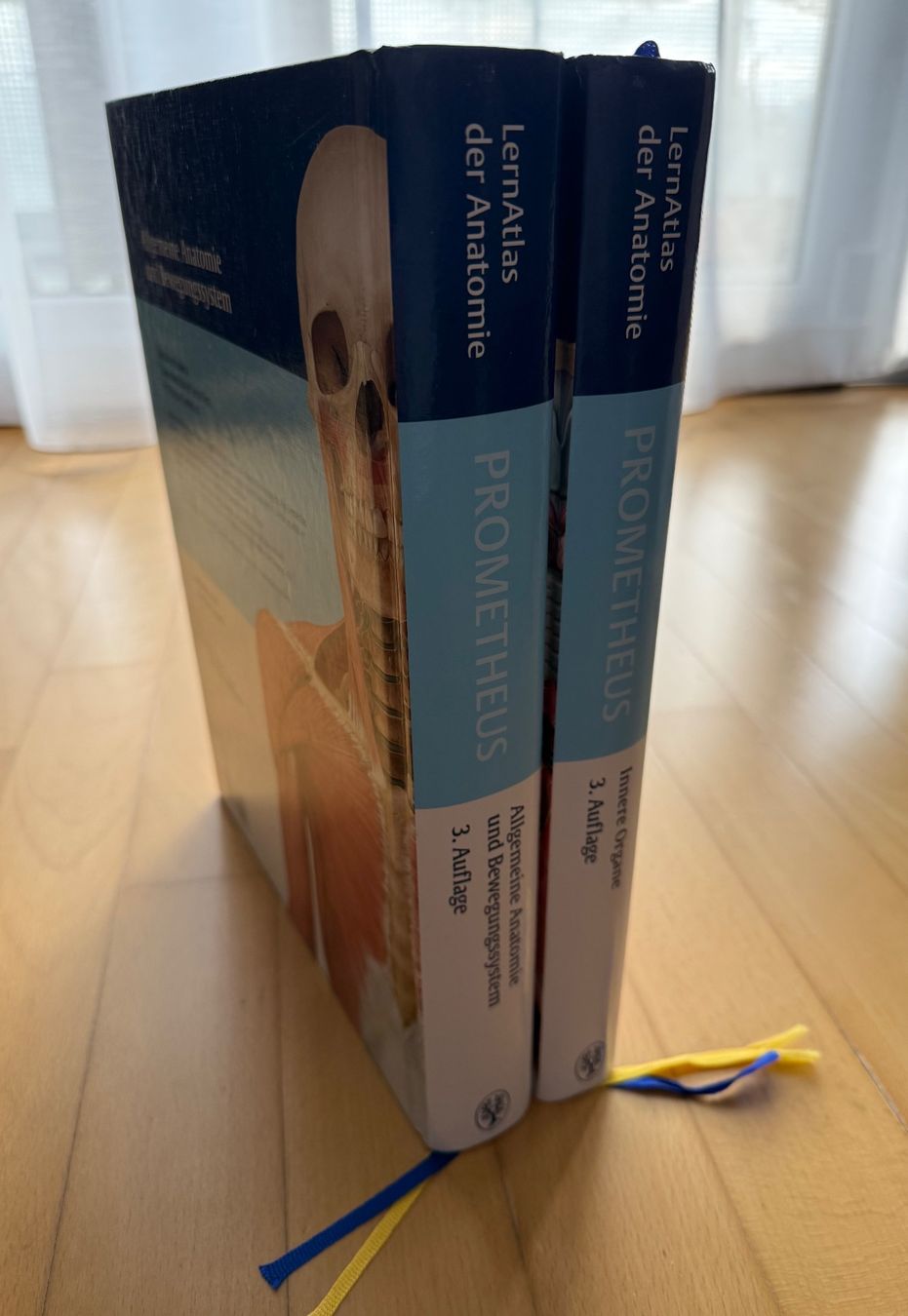Livres: Prometheus LernAtlas der Anatomie – D'occasion à Reinach AG par Majo.K 5