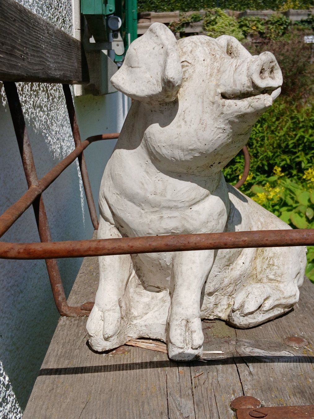 Sculture & Statue: Schwein Gartenskulptur gegossen – Usato da Zumikon venduto da Vollvintage 6