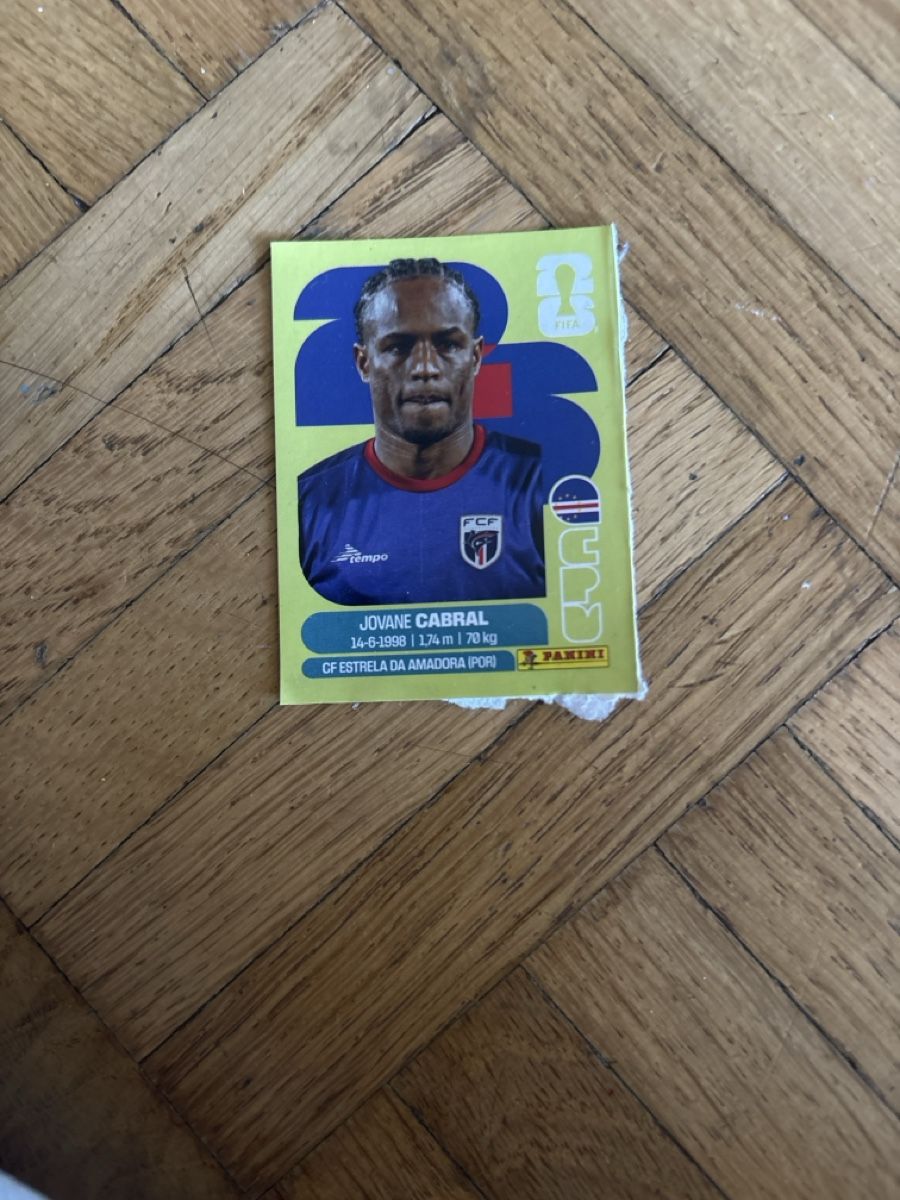 Panini Sammelbilder & Trading cards: TRENDING PANINI – Neu (gemäss Beschreibung) aus Dübendorf von DongM 1