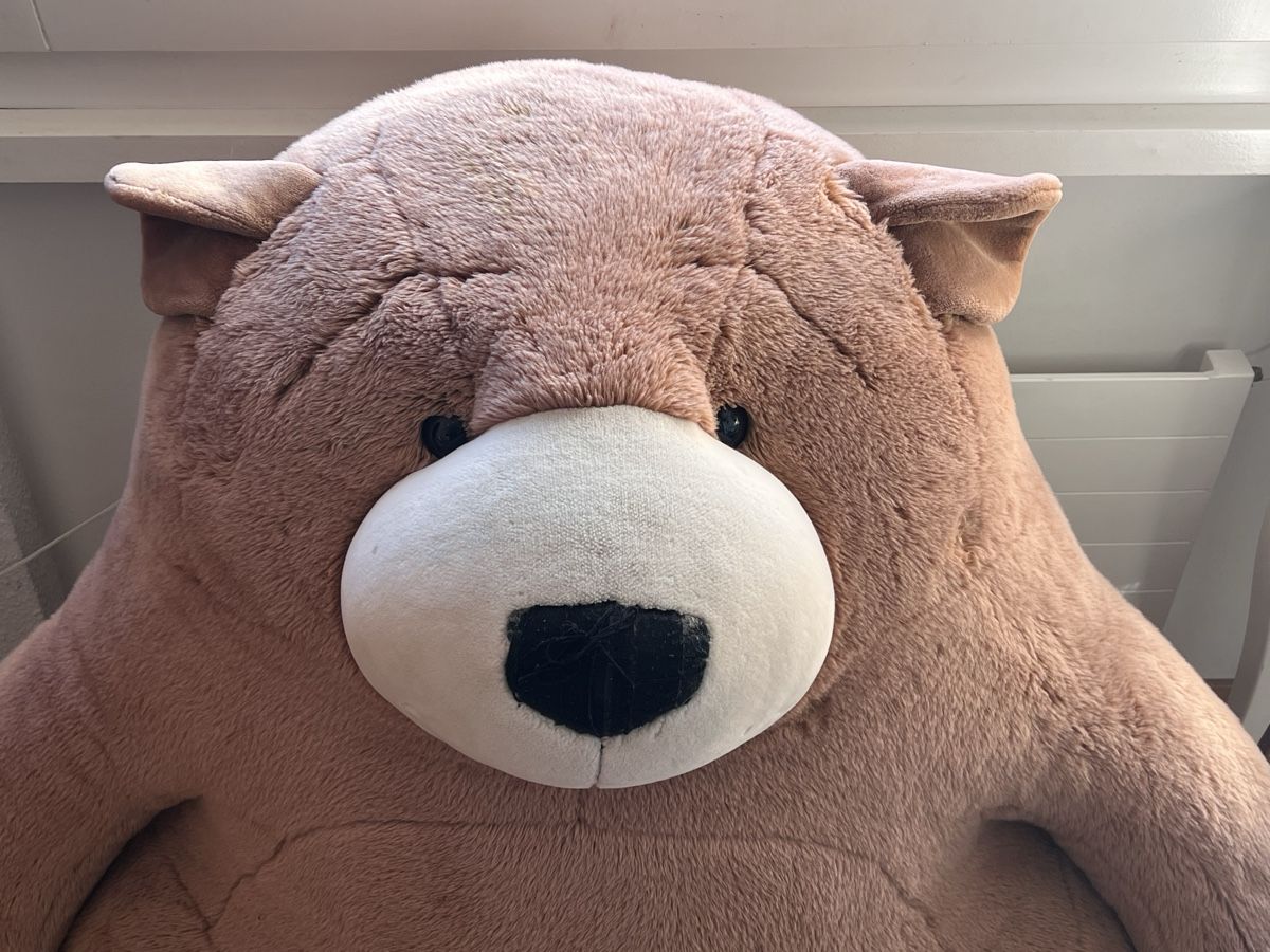 Jouets: Riesenteddy / Kletterteddy – D'occasion à Zürich par adizueri 2