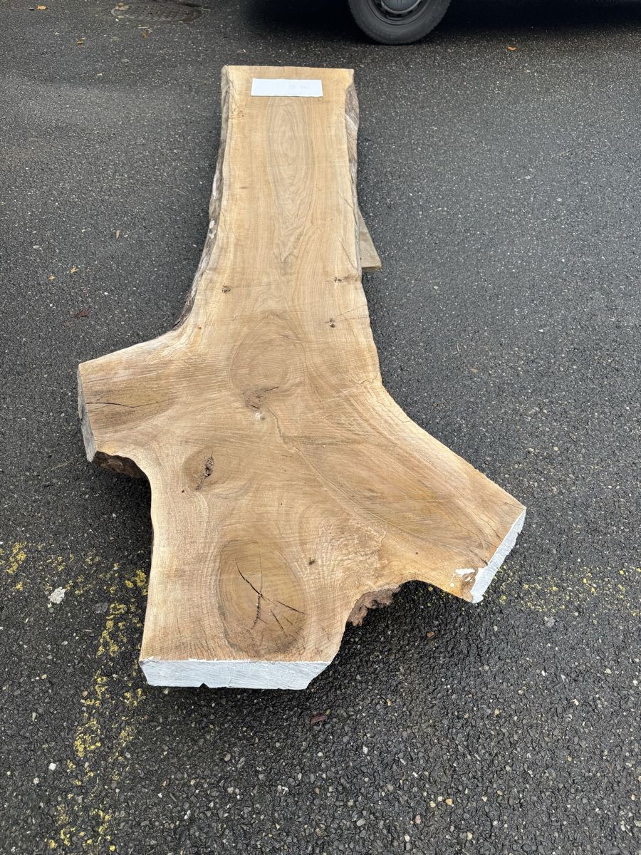 Articoli in legno: Nussbaum Klotzbrett 275  cm lang! – Usato da Gränichen venduto da onkel_xxl 1