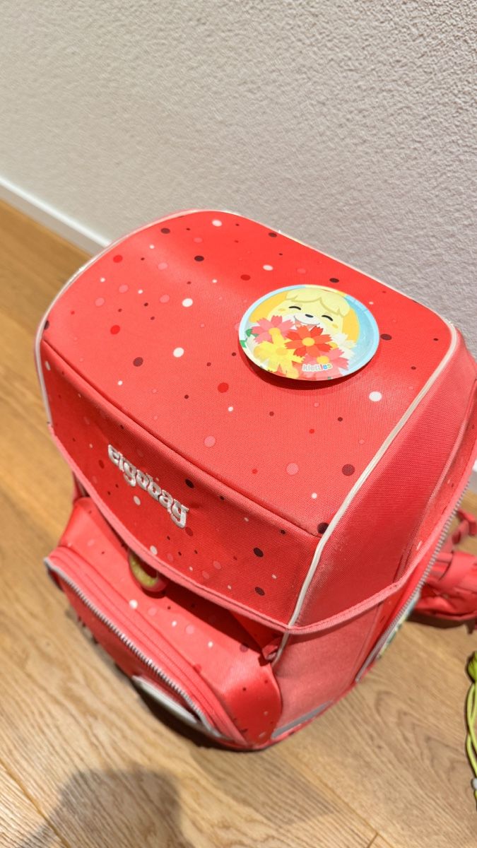 Ergobag Borse & Zaini: Ergobag Schulranzen Set pink Punkte, guter Zustand – Usato da Burgdorf venduto da DieVespa125 1