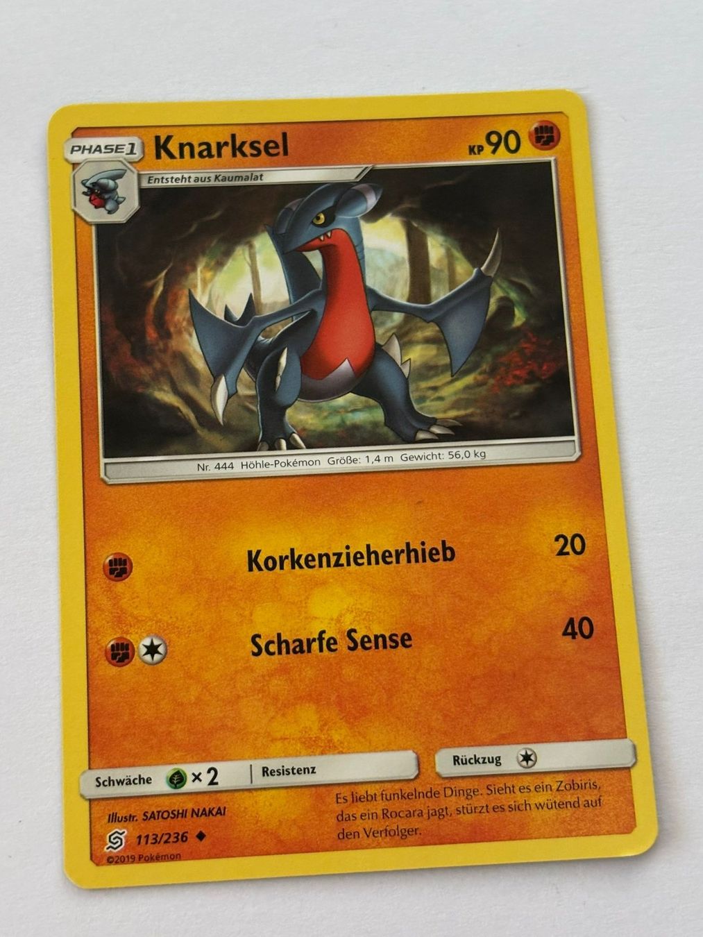 Pokémon Carte collezionabili: Knarksel 113/236 – Usato da Herisau venduto da Seyashop_2