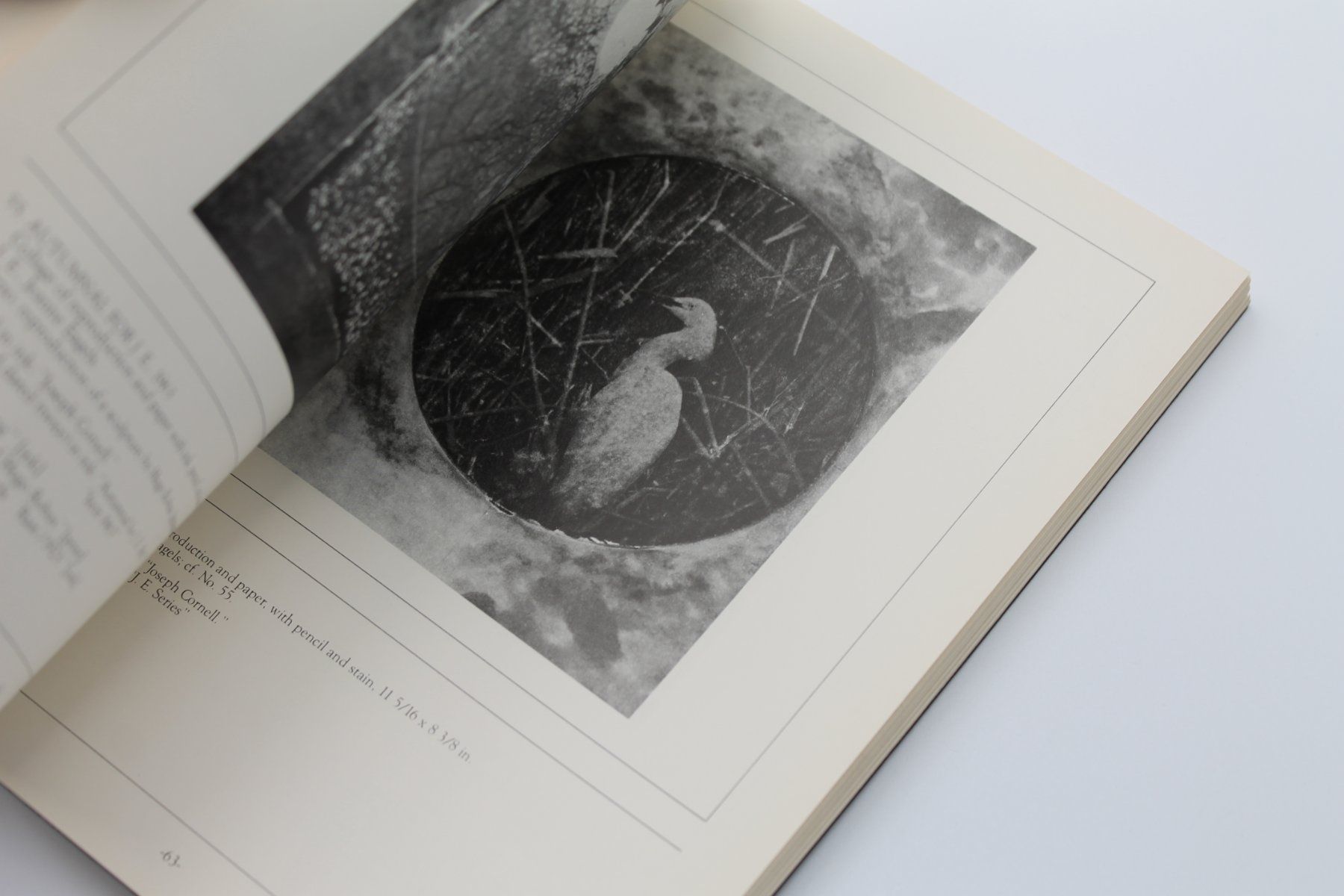 Bücher: Joseph Cornell: Collages 1931–1972 – Castelli, Feigen – Gebraucht aus Lachen SZ von ratata 2