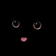 Profile image of phi_vt5f