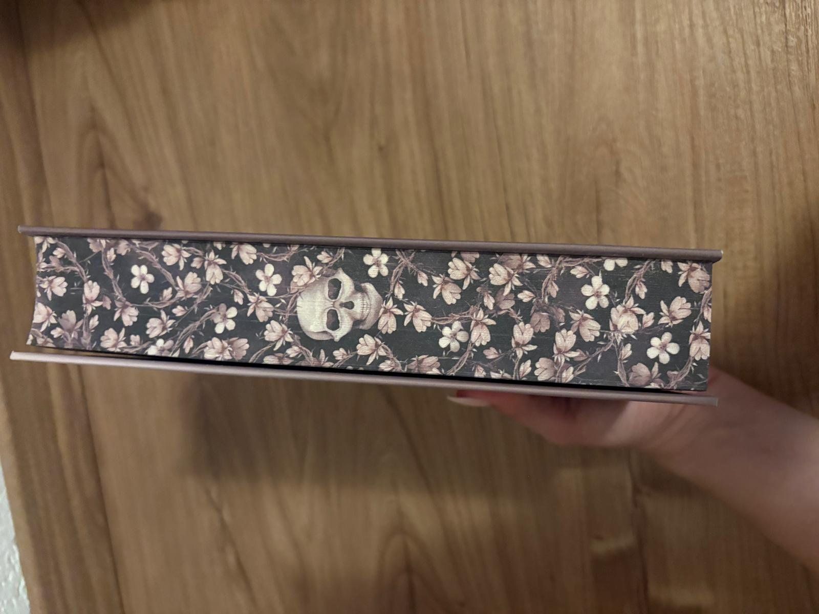 Libri: Mona Kasten - Fallen Princess - Hardcover mit Farbschnitt – Nuovo (secondo la descrizione) da Niederteufen venduto da alb_86bm 1