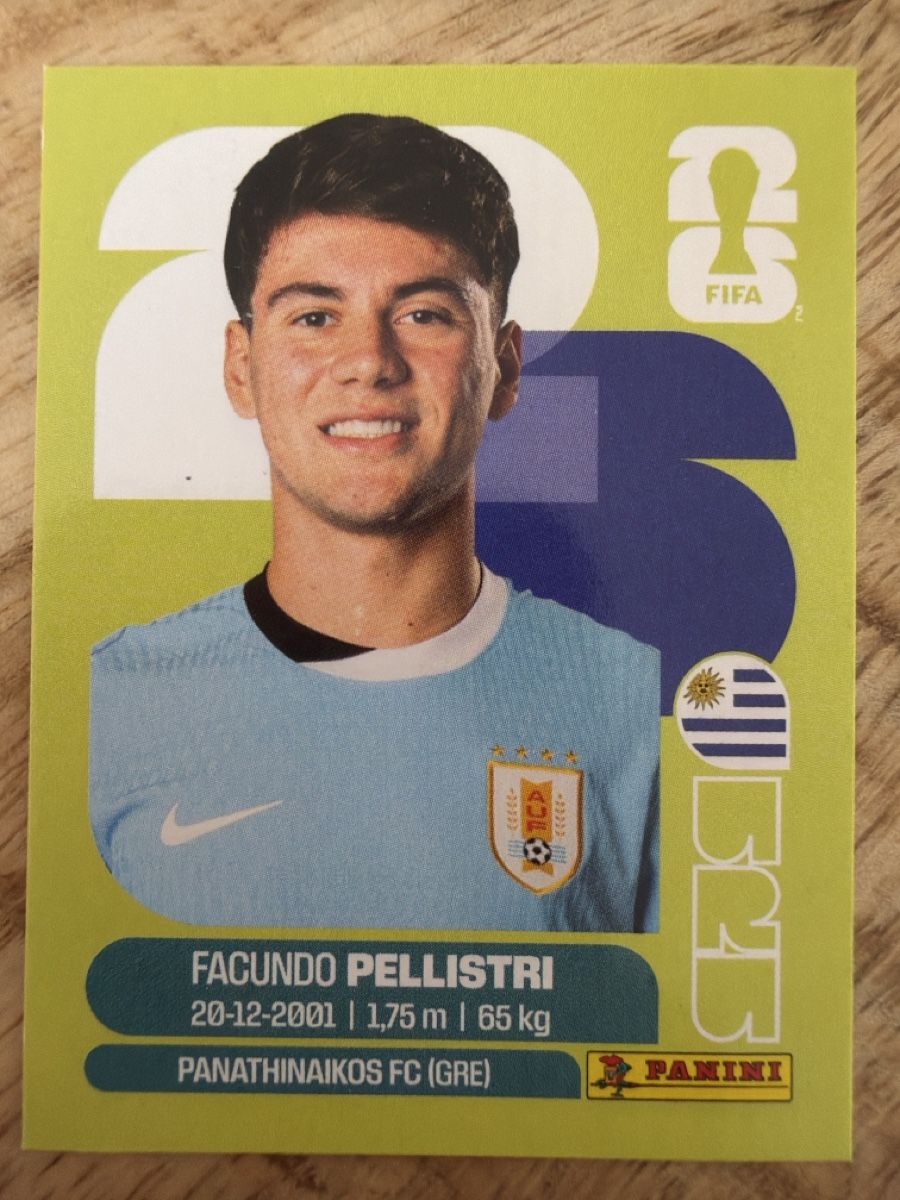Panini Sammelbilder & Trading cards: Panini URU 20 – Neu (gemäss Beschreibung) aus Leytron von airlines00