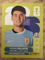 Panini URU 20