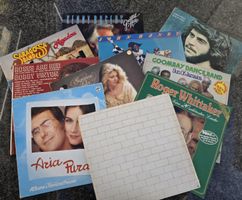 Konvolut 10 Vinyl Schallplatten diverse Interpreten