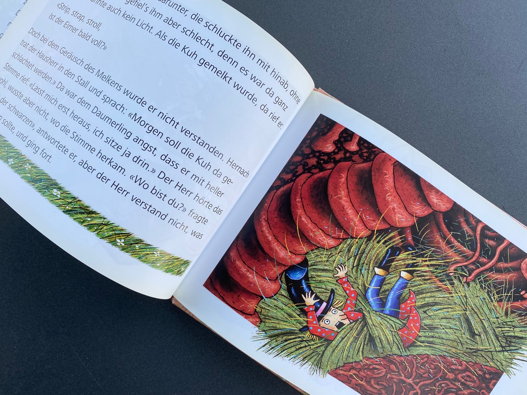 Libri: Buch DAUMERLINGS WANDERSCHAFT, Gebrüder Grimm – Nuovo (secondo la descrizione) da Dietlikon venduto da Sa_Biene 3