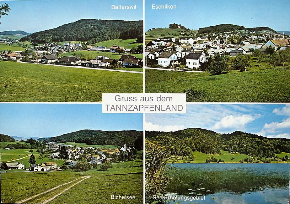 gruss-aus-dem-tannzapfenland-balterswil-eschlikon-bichelsee-gebraucht