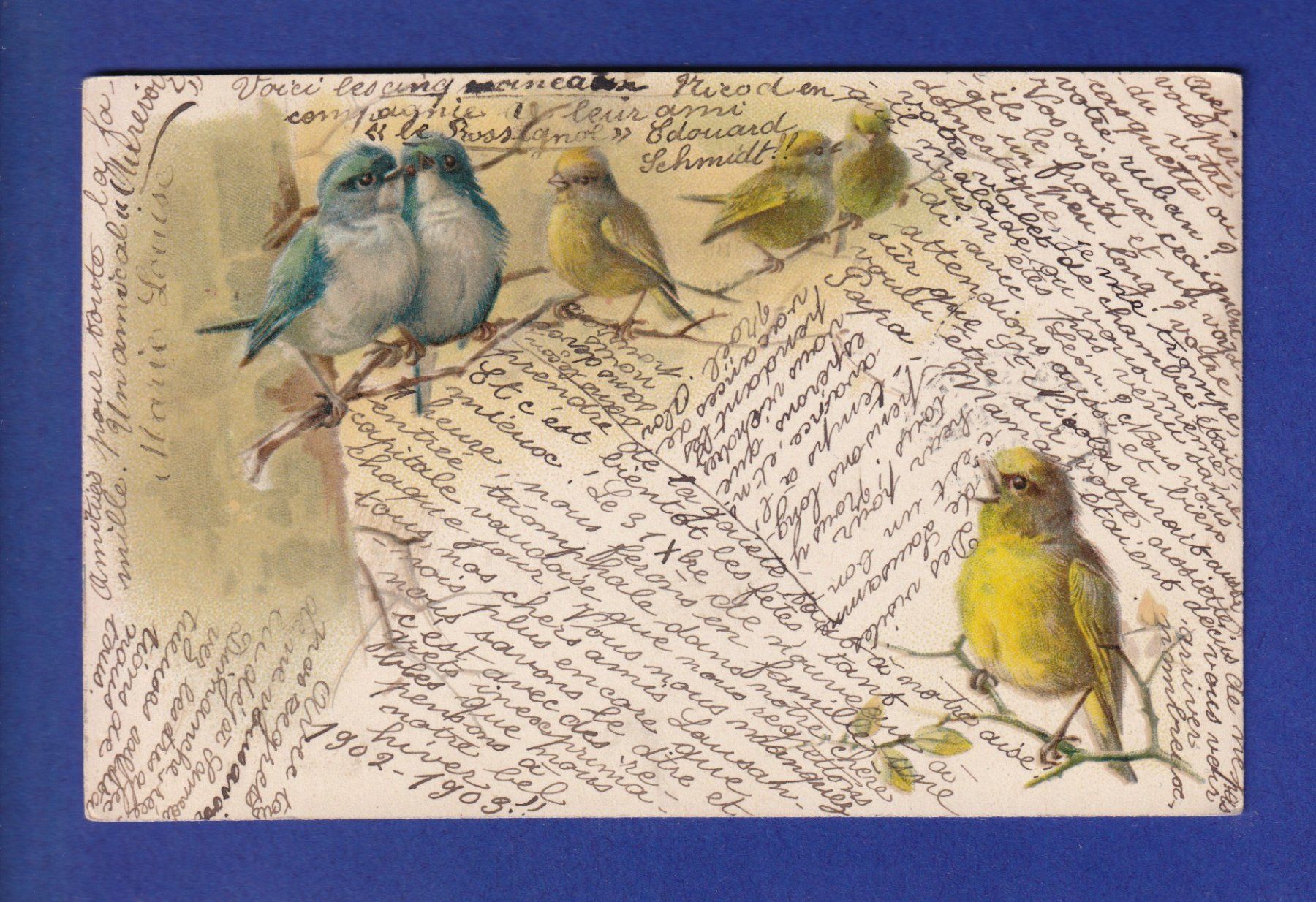Ansichtskarten: OISEAU - Plein d'oiseaux – Gebraucht aus Pully von nicecards-shop