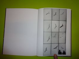 JOACHIM Richau Fotobuch nur 365 exp.