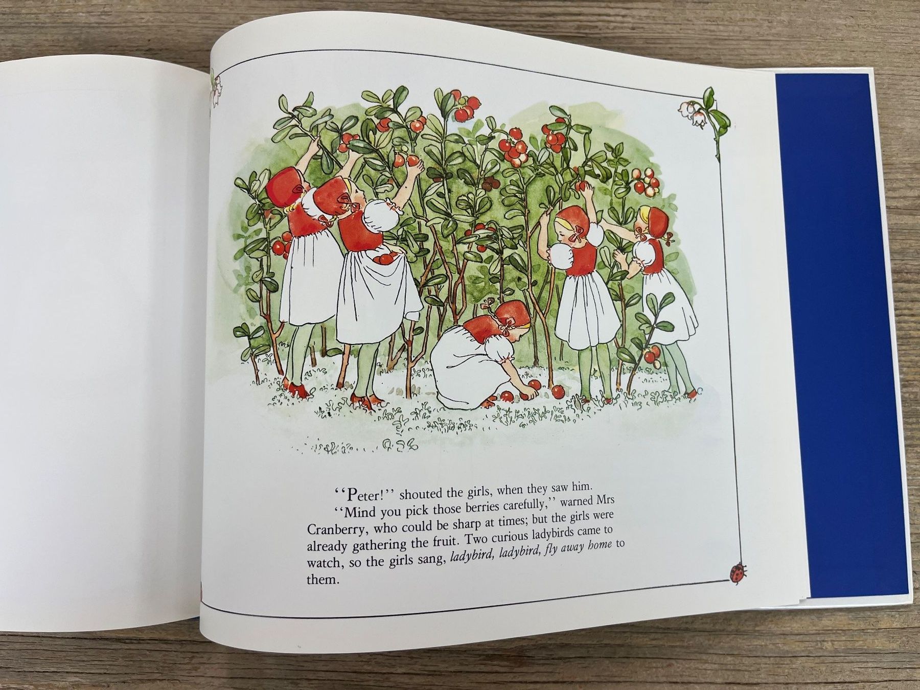 Libri: Elsa Beskov: Peter in Blueberry Land – Usato da Pfäffikon ZH venduto da buresi 7