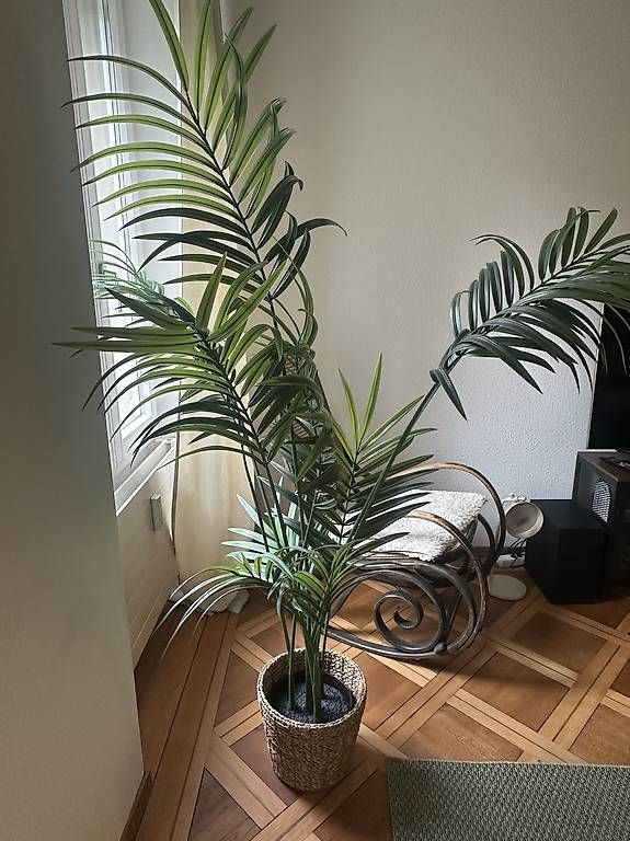 Pflanzen & Samen: Kunstpflanzen / Fejka Ikea – Neu und originalverpackt aus Bern von ilariamaria 3