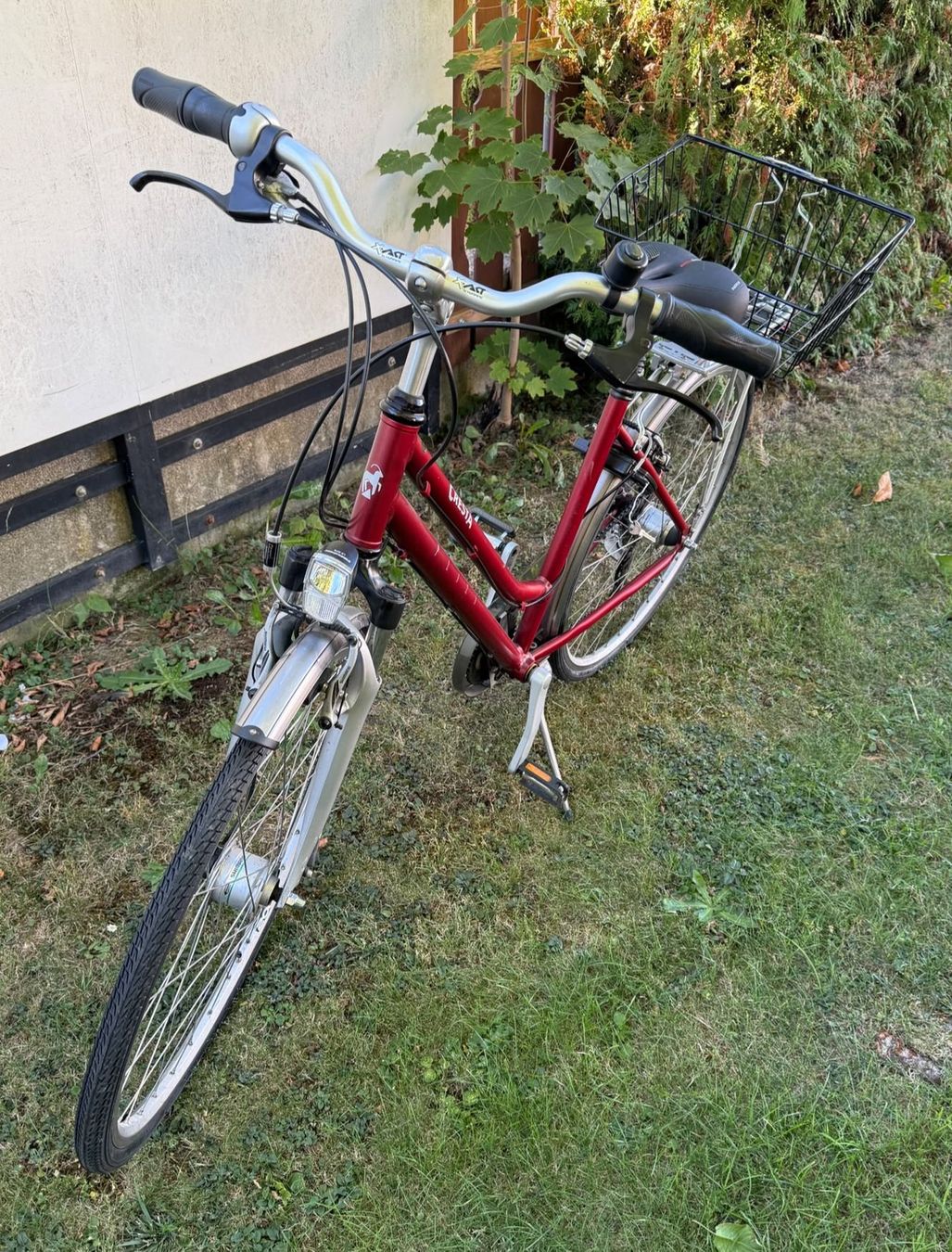 Cresta Biciclette: Cresta Damenvelo / Damenrad mit Korb – Usato da Etzgen venduto da juj_b678 2