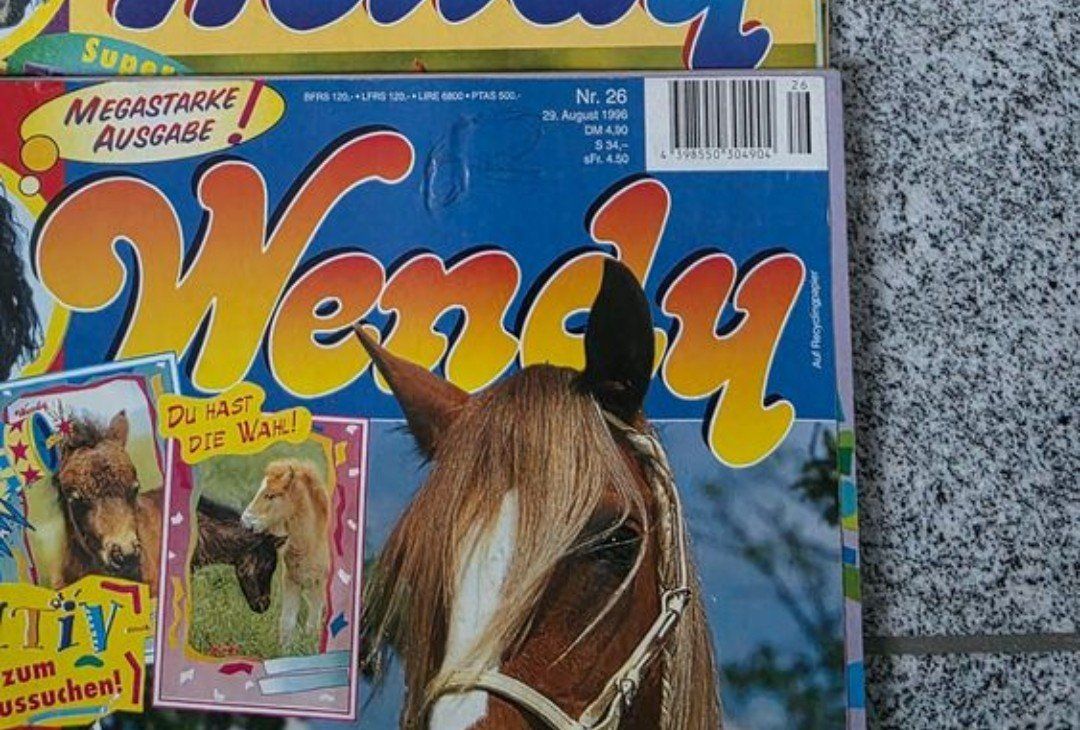 Fumetti: Wendy Comic Heft / Pferde Zeitschrift von 1996 – Usato da Tägerschen venduto da mamirockt 1