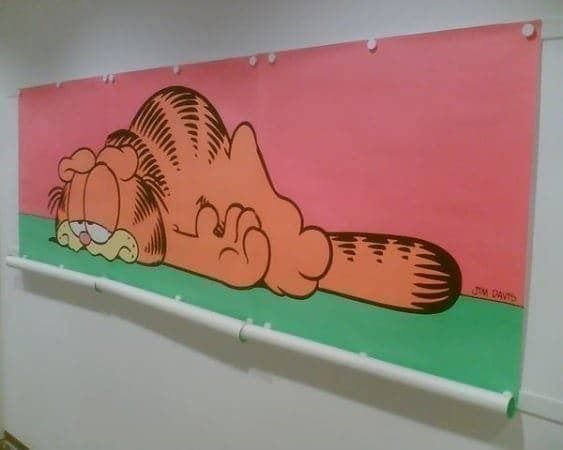 Foto & Immagini: Riesiges Garfield Poster "Unikat" – Usato da Affoltern am Albis venduto da Andrezc 1