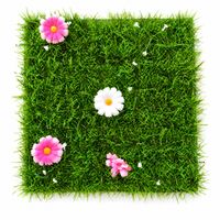 Tischdeko Blumenwiese mit bunten Blüten