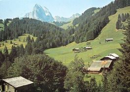 2 x AK GSTAAD Kalberhöni & Höhi Wispile
