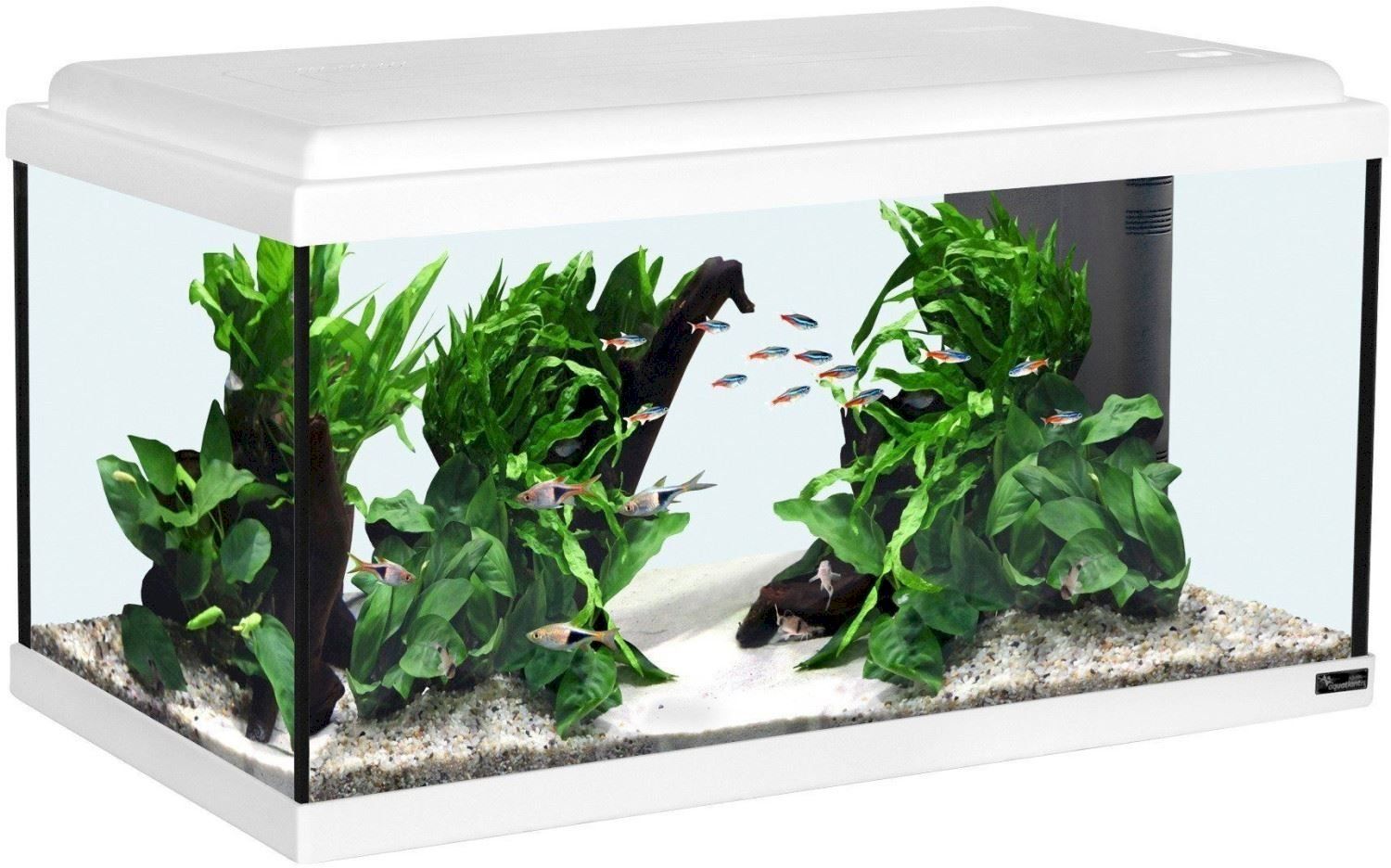 Acquari: Aquatlantis Advance LED 60 weiß – Nuovo e nell'imballaggio originale da Bottighofen venduto da zaap