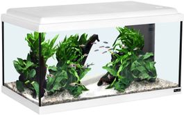 Aquatlantis Advance LED 60 weiß