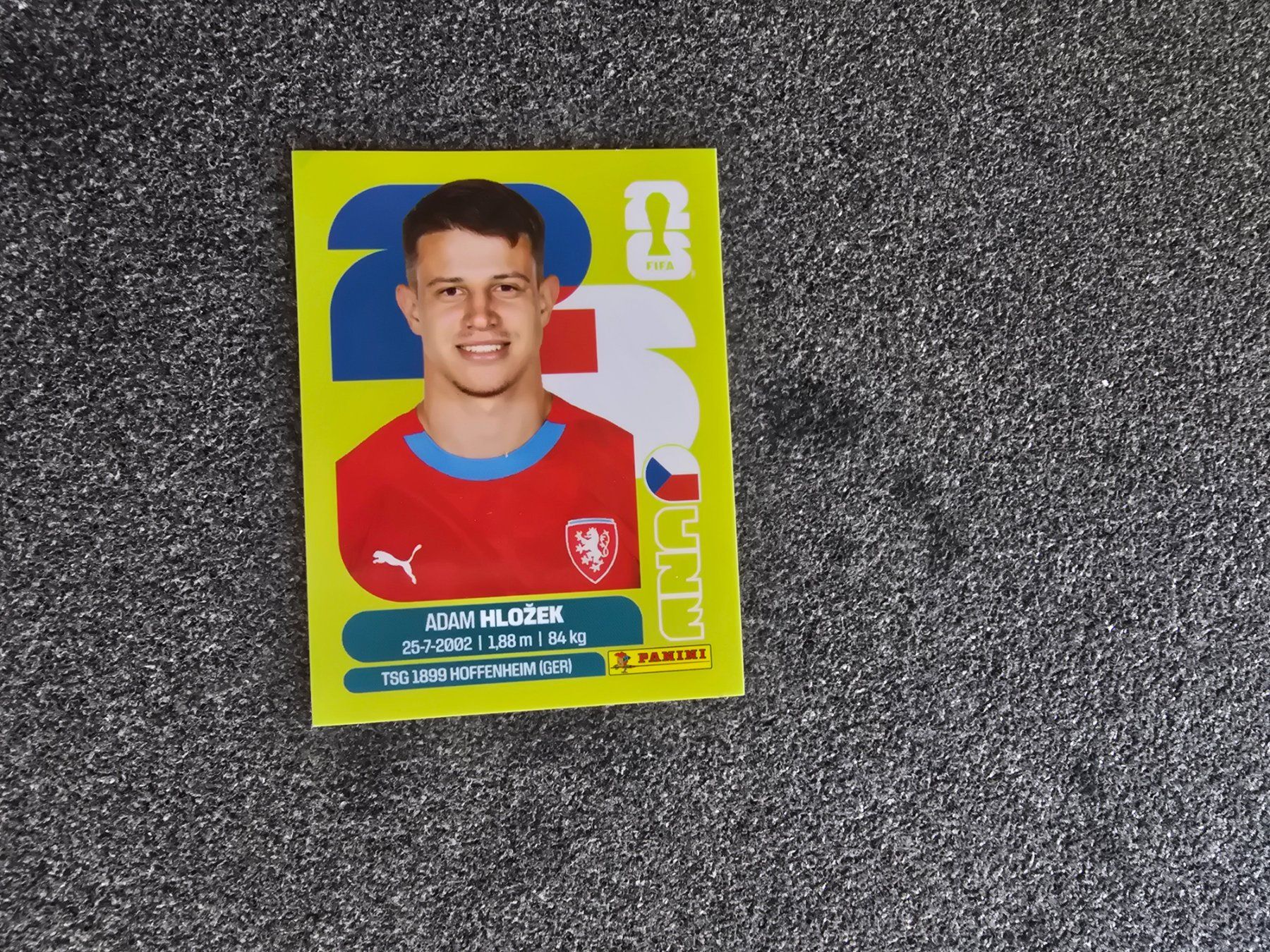 Panini Cartes à collectionner: Panini WM 26 - CZE19 – Neuf (Voir description) à Tennwil par mal_2fhf