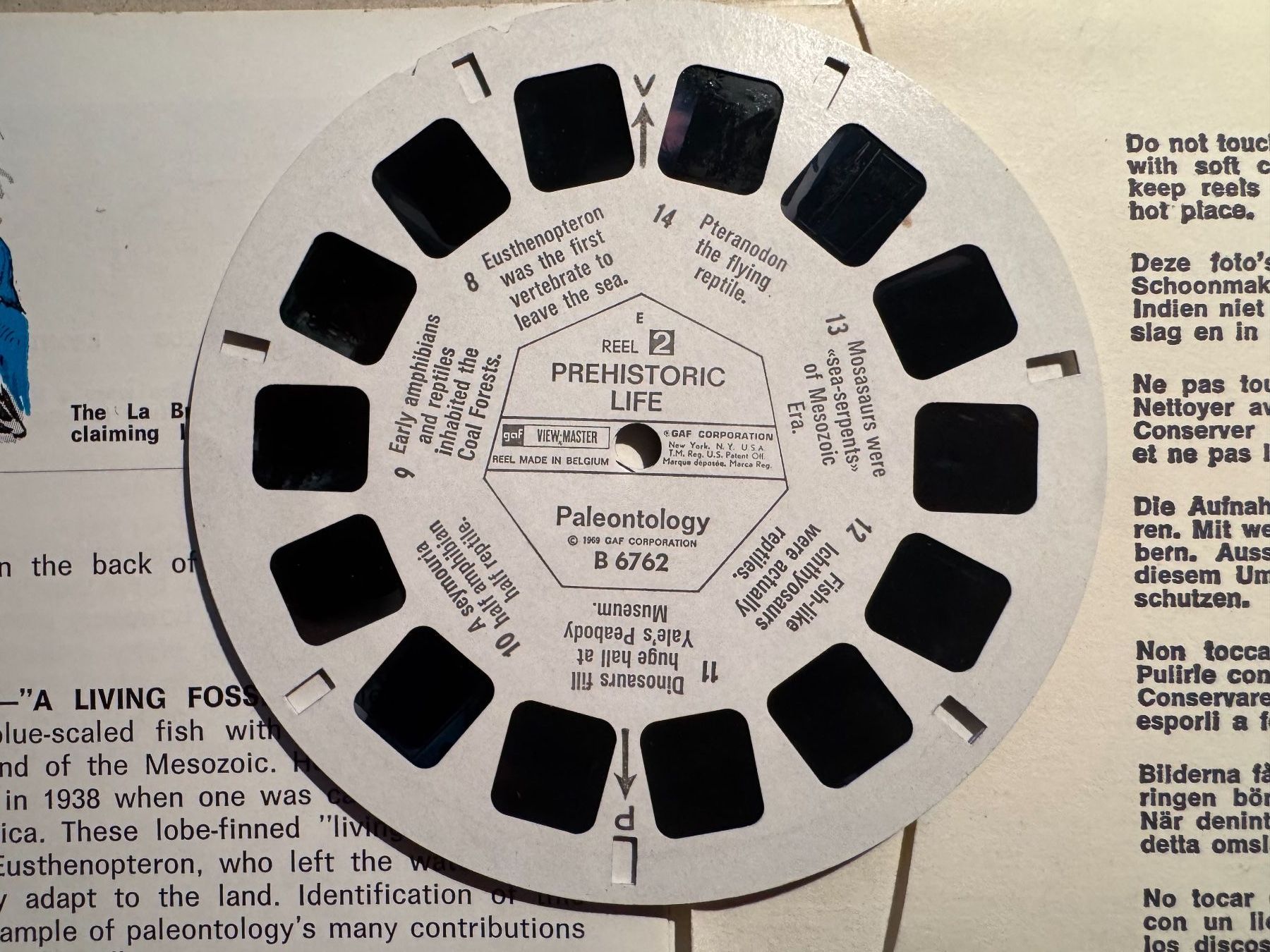 View-master Spielzeuge: View-Master 3D: Nr. B-676 PREHISTORIC LIFE – Gebraucht aus Tegerfelden von siebenmacky 6