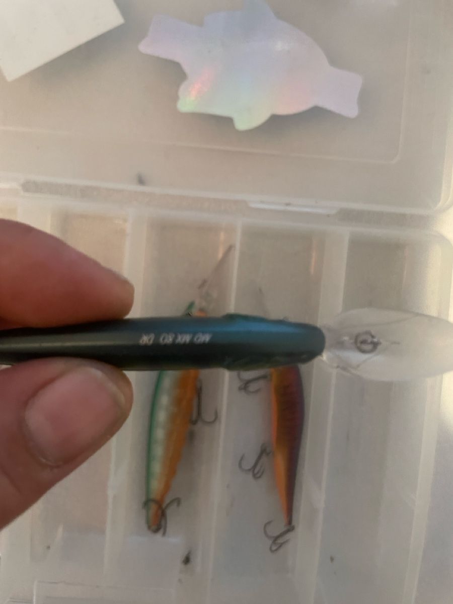 Rapala Köder: Wobbler – Gebraucht aus Schlatt TG von Michaeldominik 1