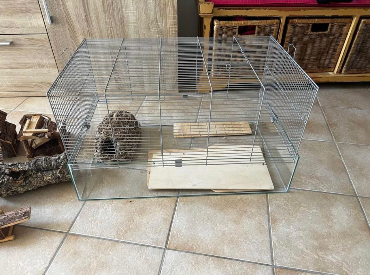 Gabbie, trasporto & Sicurezza: 🐹  Kit complet pour hamster - Complete Hamster Kit/Bundle – Usato da Lausanne venduto da Angod23 1