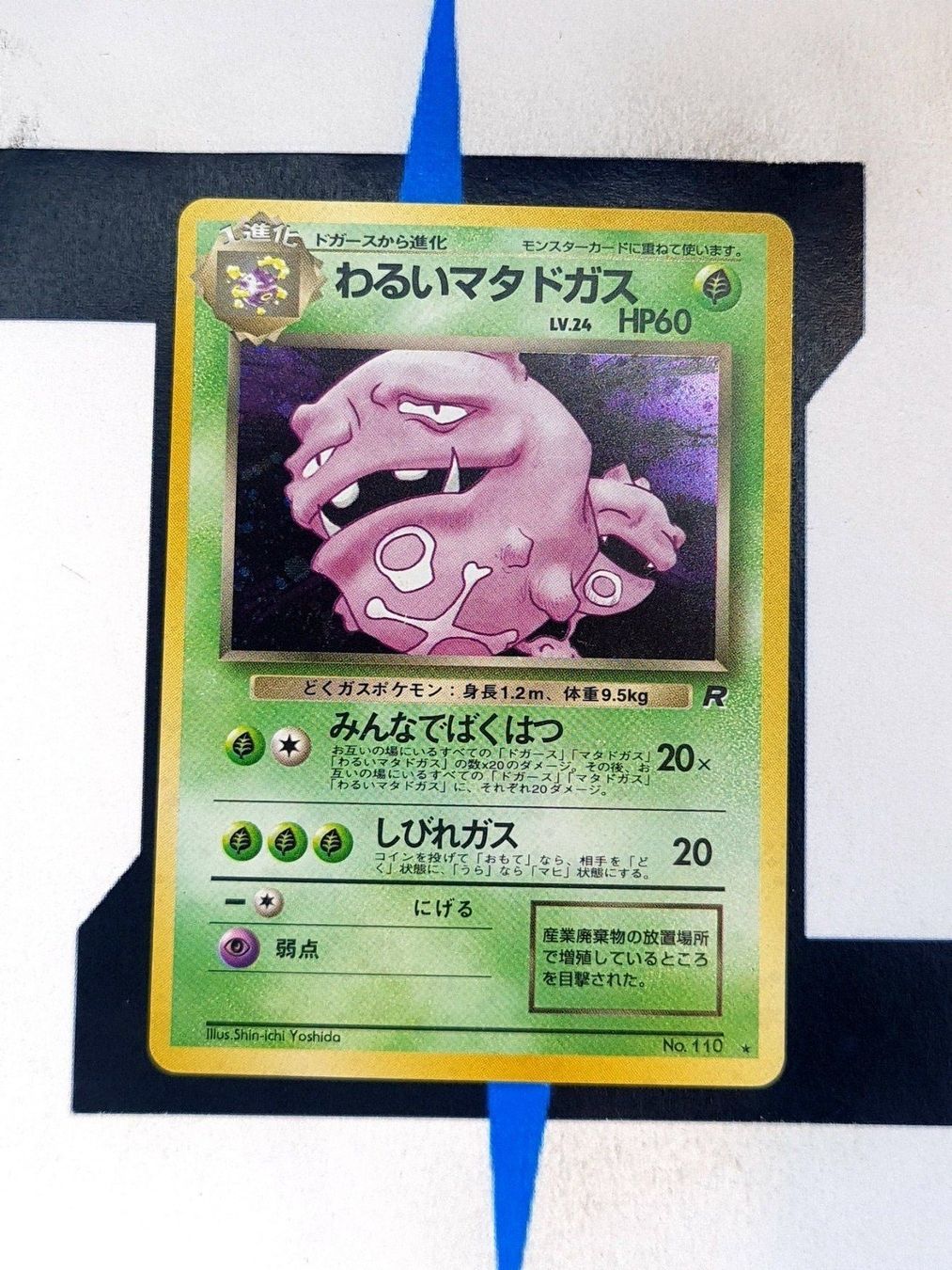 Pokémon Carte collezionabili: Dark Weezing ROG JP LP – Usato da Basel venduto da Zadoys