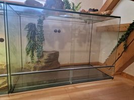 Glasterrarium