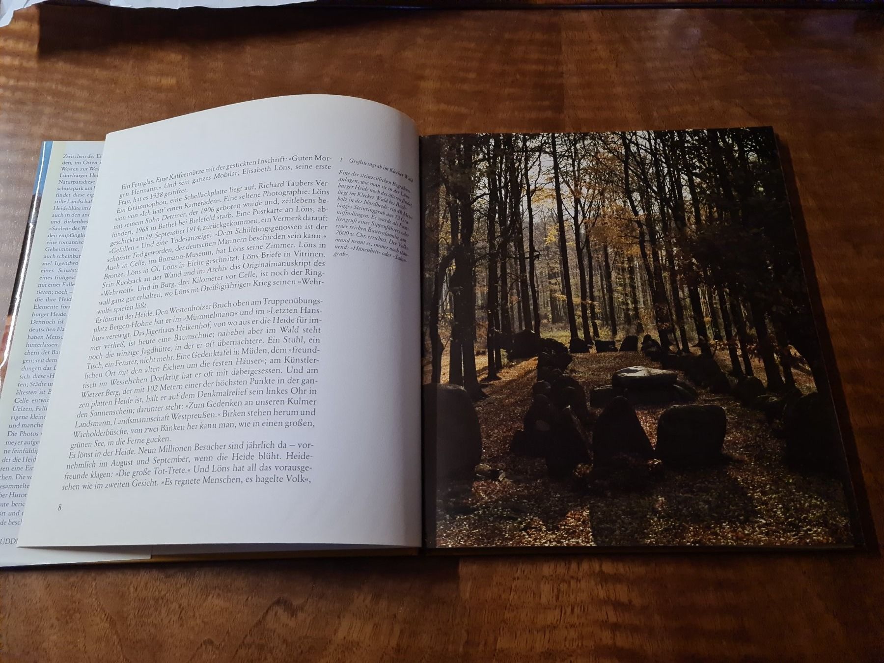 Libri: Lüneburger Heide – Usato da Erstfeld venduto da Mario_boe0 1