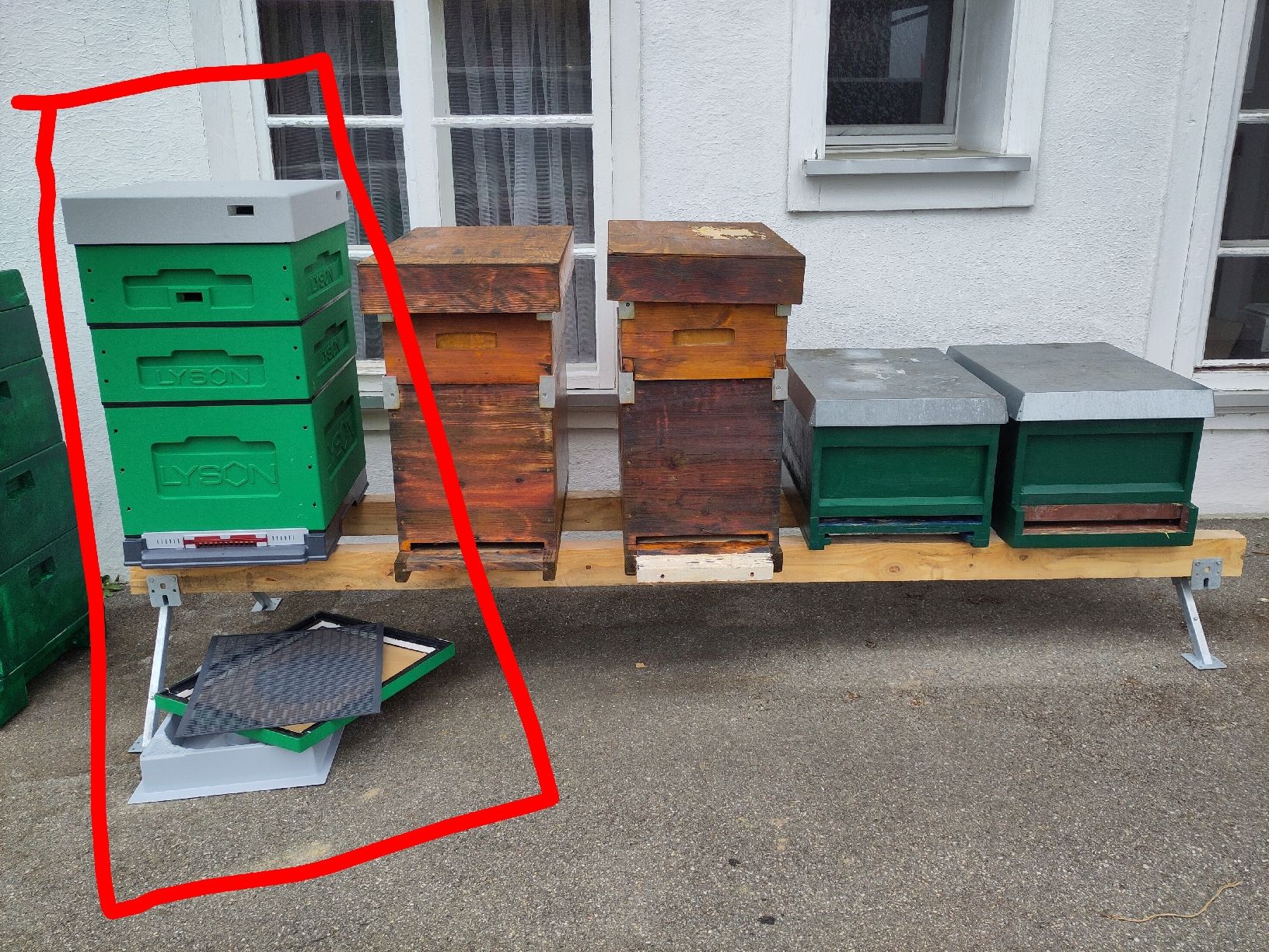 Alveari: Bienenbeuten Dadant – Nuovo (secondo la descrizione) da Menzberg venduto da davogel1