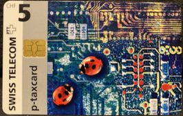P-taxcard