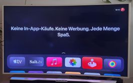 Samsung Smart TV Curved LED 55 Zoll - LED Fehler!