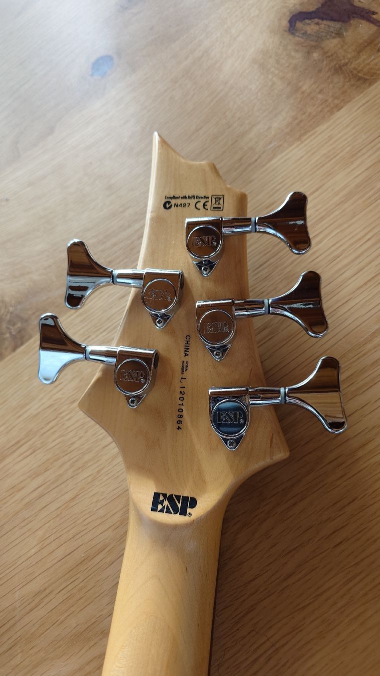 Musikinstrumente: Basse 5 cordes LTD B-55 – Gebraucht aus Flanthey von North_altitude 4
