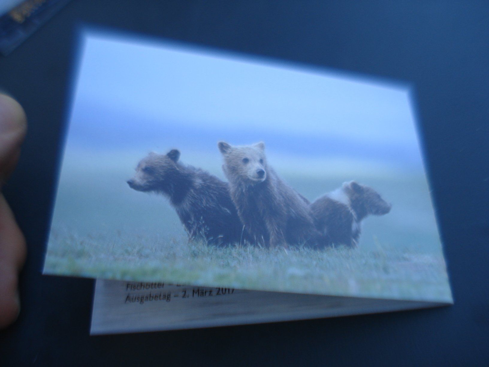 Alle Briefmarken: Markenbüchlein Tierbabys, 2017, ET-o – Gebraucht aus Niederwil AG von morostahu 2