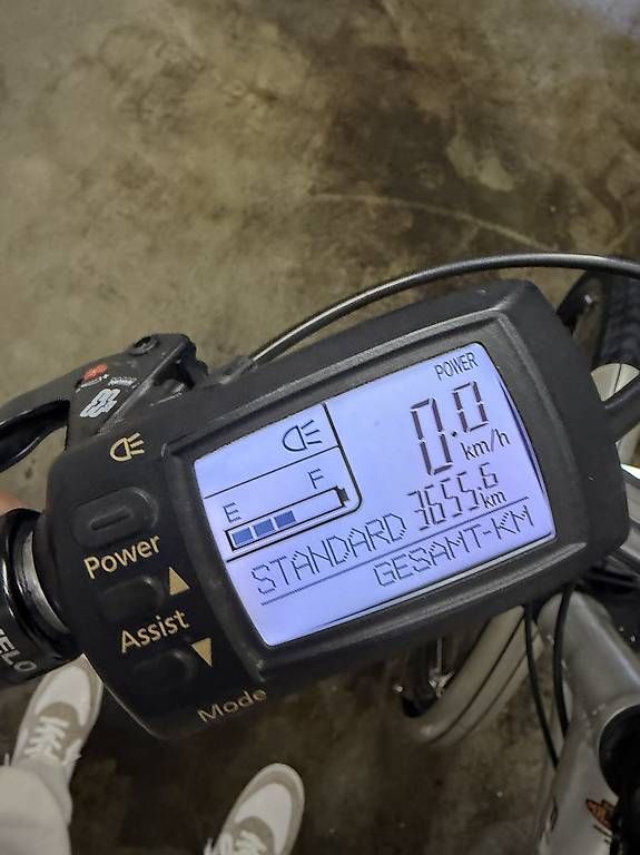 Biciclette: E-Bike Flyer 3600km / Rahmengrösse M – Usato da Schlieren venduto da Dave5699 1