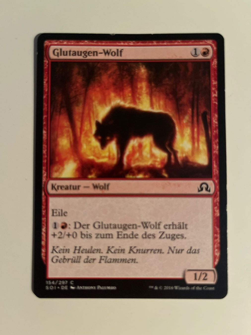 Magic The Gathering Carte collezionabili: 1 x Glutaugen-Wolf - Magic: The Gathering - MtG – Usato da Kriens venduto da Shadi1980