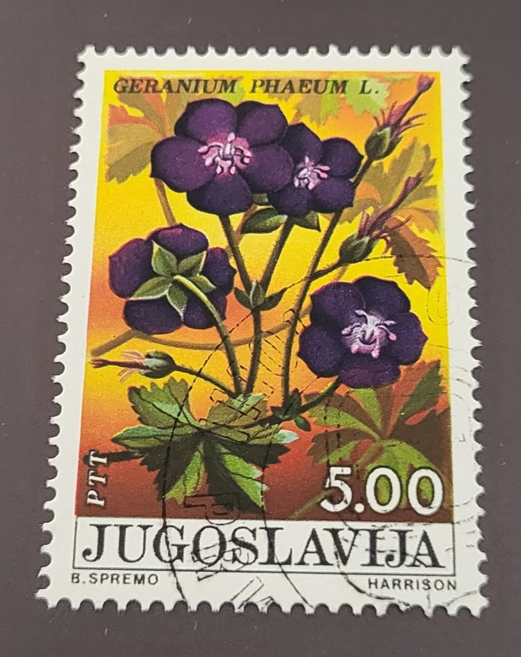 Tutti i francobolli: Jugoslawien 1975 Blumen – Usato da St Gallen venduto da Stampsalshobby