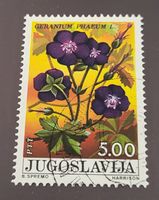 Jugoslawien 1975 Blumen