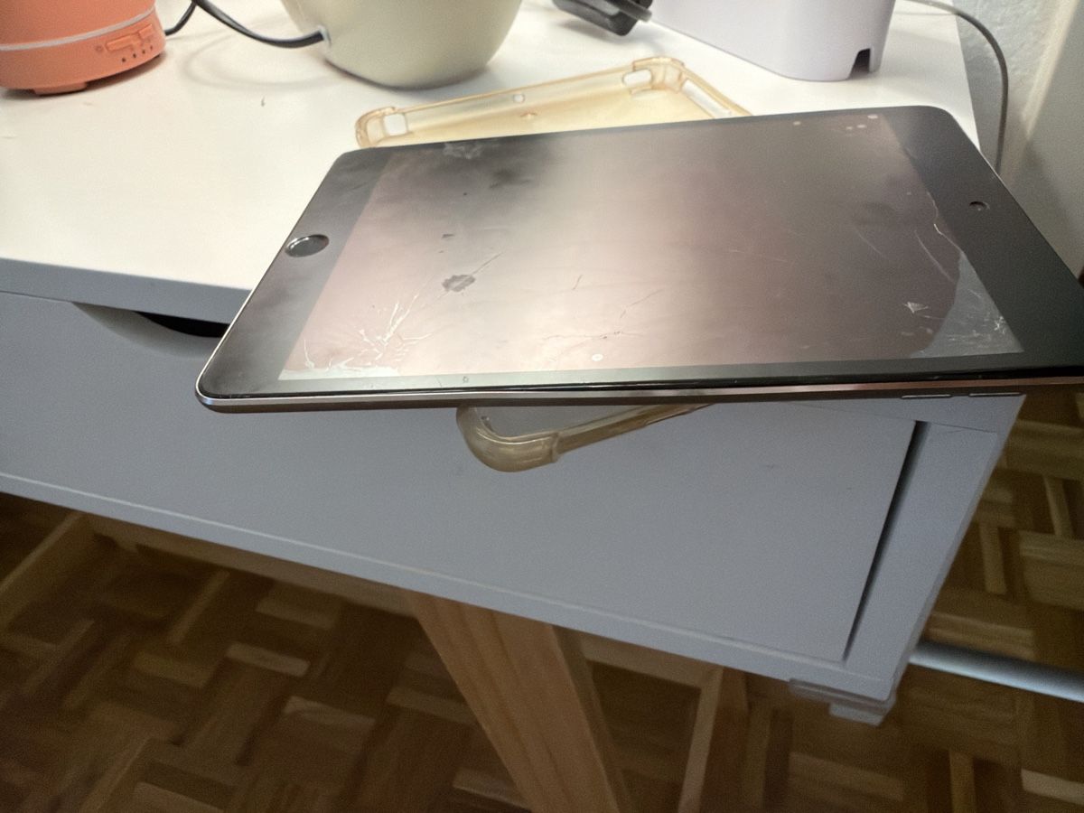 Apple Tablet PC: iPad mini – Usato da Ecublens VD venduto da djromeo02