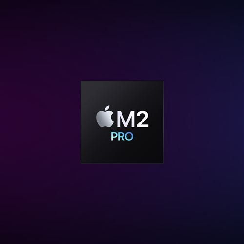 Apple PC: Apple Mac Mini M2 Pro Chip 16 gb 512 gb SSD 10 cœurs CPU – Nuovo (secondo la descrizione) da Fully venduto da chryscanariona 1