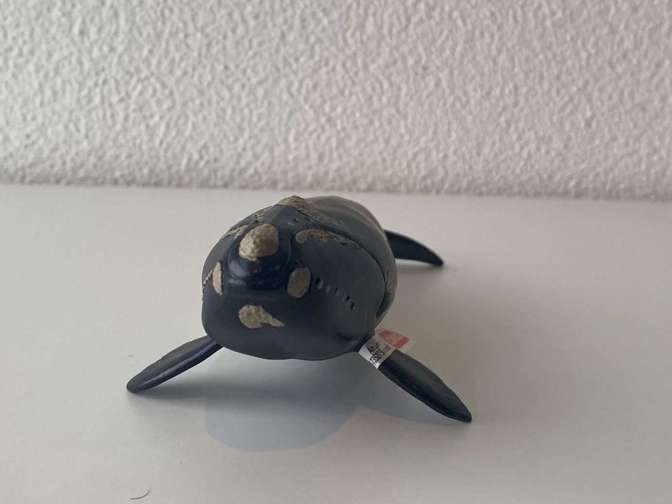 Schleich Spielzeuge: Schleich Wild Life Nordkaper "NEU" – Neu und originalverpackt aus Mellingen von Lapequenita 2