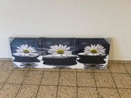 3er-Set Leinwandbilder Margeriten 50x50 cm, neu in Folie